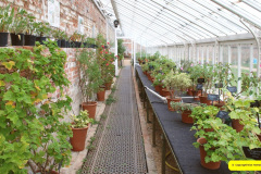 014.2026-03-25-to-27-Wiltshire-3-Day-Break.-14-Stourhead-NT-1