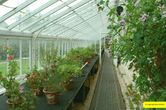 015.2026-03-25-to-27-Wiltshire-3-Day-Break.-15-Stourhead-NT-1