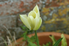 019.2026-03-25-to-27-Wiltshire-3-Day-Break.-19-Stourhead-NT-1