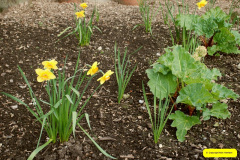 026.2026-03-25-to-27-Wiltshire-3-Day-Break.-26-Stourhead-NT-1