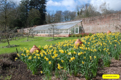028.2026-03-25-to-27-Wiltshire-3-Day-Break.-28-Stourhead-NT-1