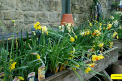 066.2026-03-25-to-27-Wiltshire-3-Day-Break.-66-Stourhead-NT-1