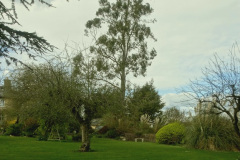 120.2026-03-25-to-27-Wiltshire-3-Day-Break.-120-Our-Hotel.-1-