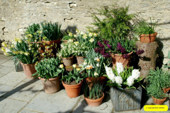 125.2026-03-25-to-27-Wiltshire-3-Day-Break.-125-The-Courts-Garden-NT-1-