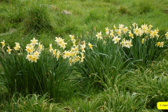 004.2026-03-30-SR-Spring-Steam-Gala.-4-