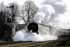 236.2026-03-30-SR-Spring-Steam-Gala.-236-
