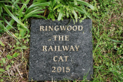094.2026-05-02-Saturday-morning-on-the-SR-at-Swanage.-94-