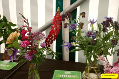 115.2026-05-10-Dorset-Spring-Show-Puddletown-Dorset.-115-