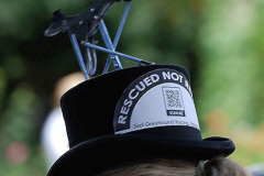 123.2026-09-05-Bridport-Dorset-Hat-Festival.-123-
