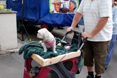 243.2026-09-05-Bridport-Dorset-Hat-Festival.-243-