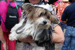 333.2026-09-05-Bridport-Dorset-Hat-Festival.-333-