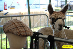 057.2026-09-02-Dorset-County-Show-Dorchester-Dorset.-57-
