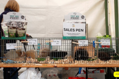 099.2026-09-02-Dorset-County-Show-Dorchester-Dorset.-99-
