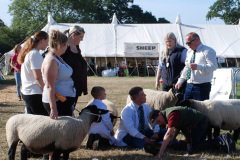 209.2026-09-02-Dorset-County-Show-Dorchester-Dorset.-209-