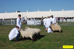 210.2026-09-02-Dorset-County-Show-Dorchester-Dorset.-210-