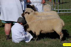 211.2026-09-02-Dorset-County-Show-Dorchester-Dorset.-211-