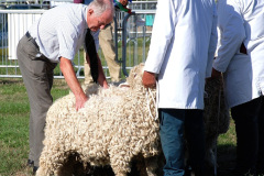213.2026-09-02-Dorset-County-Show-Dorchester-Dorset.-213-