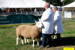 214.2026-09-02-Dorset-County-Show-Dorchester-Dorset.-214-