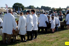 216.2026-09-02-Dorset-County-Show-Dorchester-Dorset.-216-