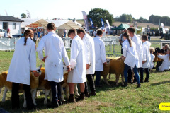 217.2026-09-02-Dorset-County-Show-Dorchester-Dorset.-217-