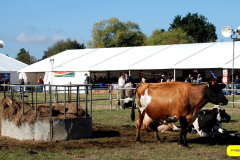 222.2026-09-02-Dorset-County-Show-Dorchester-Dorset.-222-