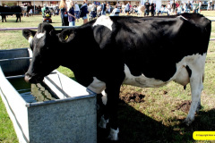 224.2026-09-02-Dorset-County-Show-Dorchester-Dorset.-224-