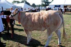 225.2026-09-02-Dorset-County-Show-Dorchester-Dorset.-225-