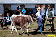 229.2026-09-02-Dorset-County-Show-Dorchester-Dorset.-229-