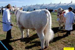 232.2026-09-02-Dorset-County-Show-Dorchester-Dorset.-232-