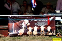 234.2026-09-02-Dorset-County-Show-Dorchester-Dorset.-234-