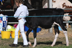 235.2026-09-02-Dorset-County-Show-Dorchester-Dorset.-235-