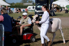 236.2026-09-02-Dorset-County-Show-Dorchester-Dorset.-236-