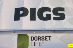 240.2026-09-02-Dorset-County-Show-Dorchester-Dorset.-240-