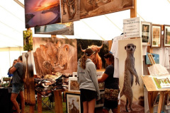 264.2026-09-02-Dorset-County-Show-Dorchester-Dorset.-264-
