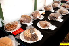 275.2026-09-02-Dorset-County-Show-Dorchester-Dorset.-275-