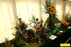282.2026-09-02-Dorset-County-Show-Dorchester-Dorset.-282-
