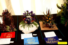 283.2026-09-02-Dorset-County-Show-Dorchester-Dorset.-283-