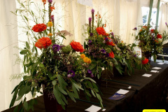 285.2026-09-02-Dorset-County-Show-Dorchester-Dorset.-285-