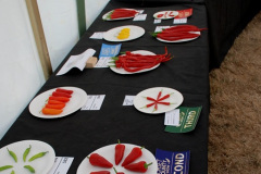 323.2026-09-02-Dorset-County-Show-Dorchester-Dorset.-323-
