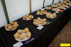 324.2026-09-02-Dorset-County-Show-Dorchester-Dorset.-324-