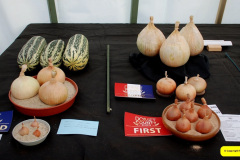 325.2026-09-02-Dorset-County-Show-Dorchester-Dorset.-325-