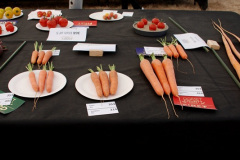327.2026-09-02-Dorset-County-Show-Dorchester-Dorset.-327-