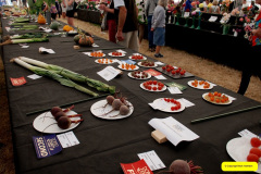 328.2026-09-02-Dorset-County-Show-Dorchester-Dorset.-328-