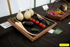 332.2026-09-02-Dorset-County-Show-Dorchester-Dorset.-332-