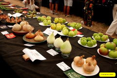334.2026-09-02-Dorset-County-Show-Dorchester-Dorset.-334-