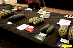 335.2026-09-02-Dorset-County-Show-Dorchester-Dorset.-335-