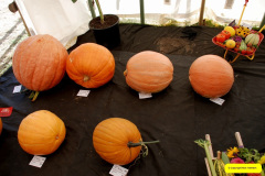 337.2026-09-02-Dorset-County-Show-Dorchester-Dorset.-337-
