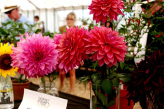 340.2026-09-02-Dorset-County-Show-Dorchester-Dorset.-340-