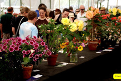 344.2026-09-02-Dorset-County-Show-Dorchester-Dorset.-344-