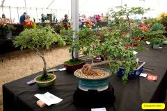 348.2026-09-02-Dorset-County-Show-Dorchester-Dorset.-348-